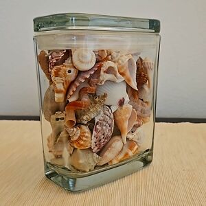 Jar of sea shells